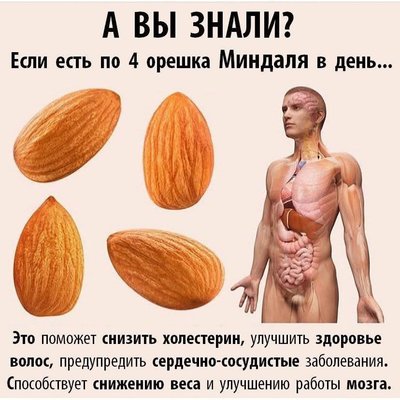 FB_IMG_1745647857507.jpg