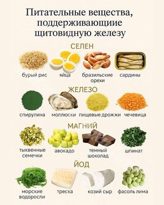 FB_IMG_1755099642369.jpg