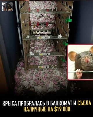 FB_IMG_1760901467181.jpg