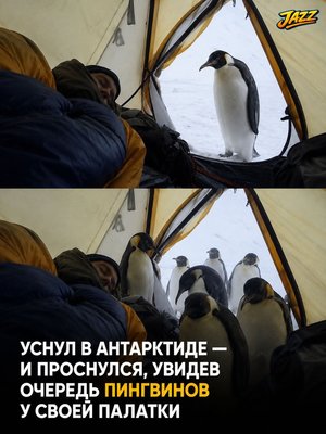 FB_IMG_1781046509948.jpg