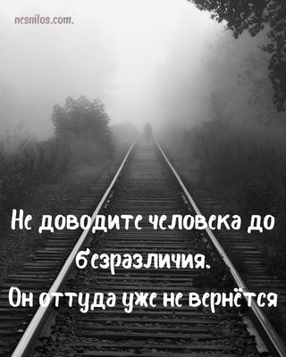 FB_IMG_1785525357791.jpg